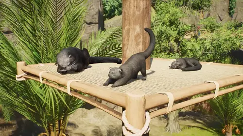 Planet Zoo 2 erscheint im Oktober 13